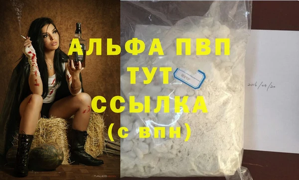 крисы Алексин