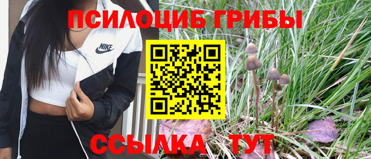 Галлюциногенные грибы прущие грибы Павлово