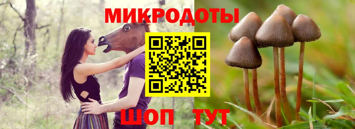 Галлюциногенные грибы MAGIC MUSHROOMS  Галлюциногенные грибы мицелий  купить наркотик  Вход с VPN  Павлово 